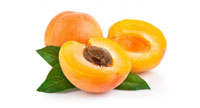 <span  class="uc-style-16523060183" style="color:#ffffff;">apricot</span>